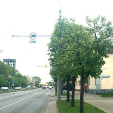 Сторона А - Минск, ул. Орловская, 20