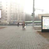 В3 - Минск, ул. Кальварийская, 24 (ТЦ Корона) слева второй