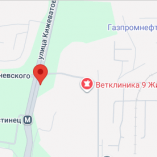 kigevatova_serova_karta