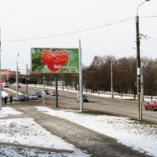 miroshnichenko_bc_zelenylug_b