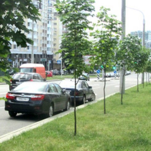 Сторона А - Минск, Л. Беды ул. дом №31