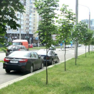 Сторона А - Минск, Л. Беды ул. дом №31