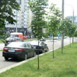 Сторона А - Минск, Л. Беды ул. дом №31