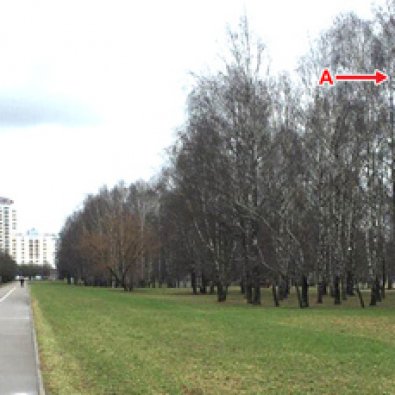 Сторона А - Минск, ул. Орловская - ул. Л.Карастояновой